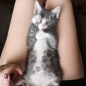 Meet your Posher, Rachael